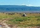 ngorongoro_jeep.jpg