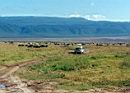 ngorongoro_jeep.jpg