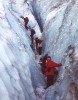 t_fox_glacier_vendul.jpg