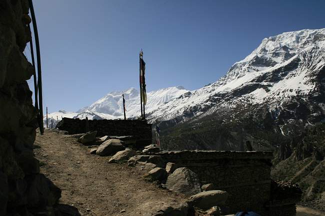 img00119.jpg