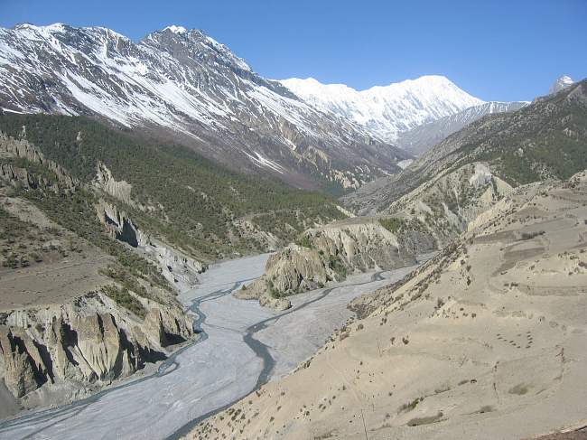 img00140.jpg