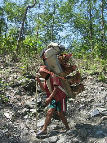 img00208.jpg